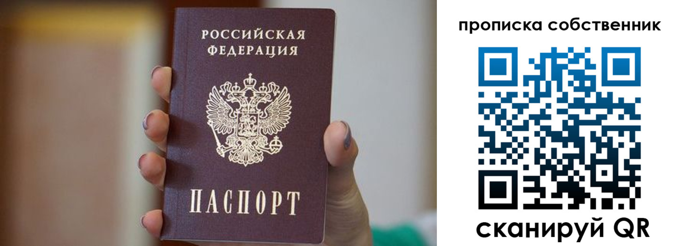 прописка поиск в Шуе